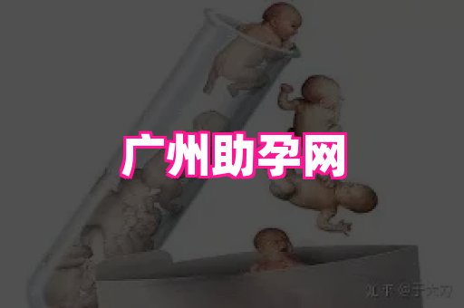 厦门助孕网站 2