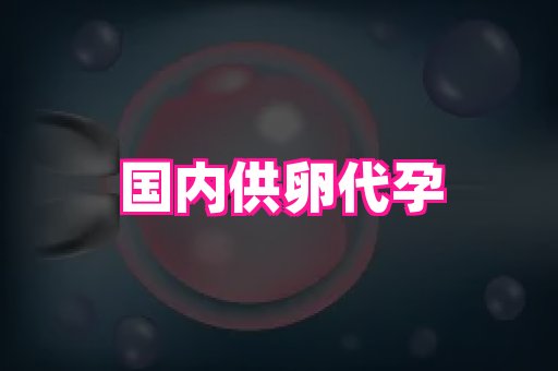 厦门助孕网站 3